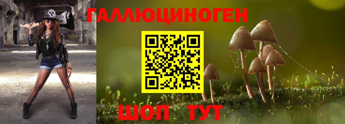 Псилоцибиновые грибы Cubensis  Вход с VPN  Соликамск 
